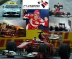 Fernando Alonso Kore Grand Prix (2010) zaferini kutluyor